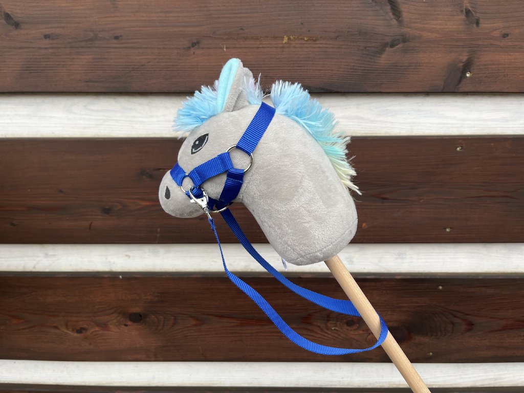 Hobby horse (MINI) - duhová hříva 2