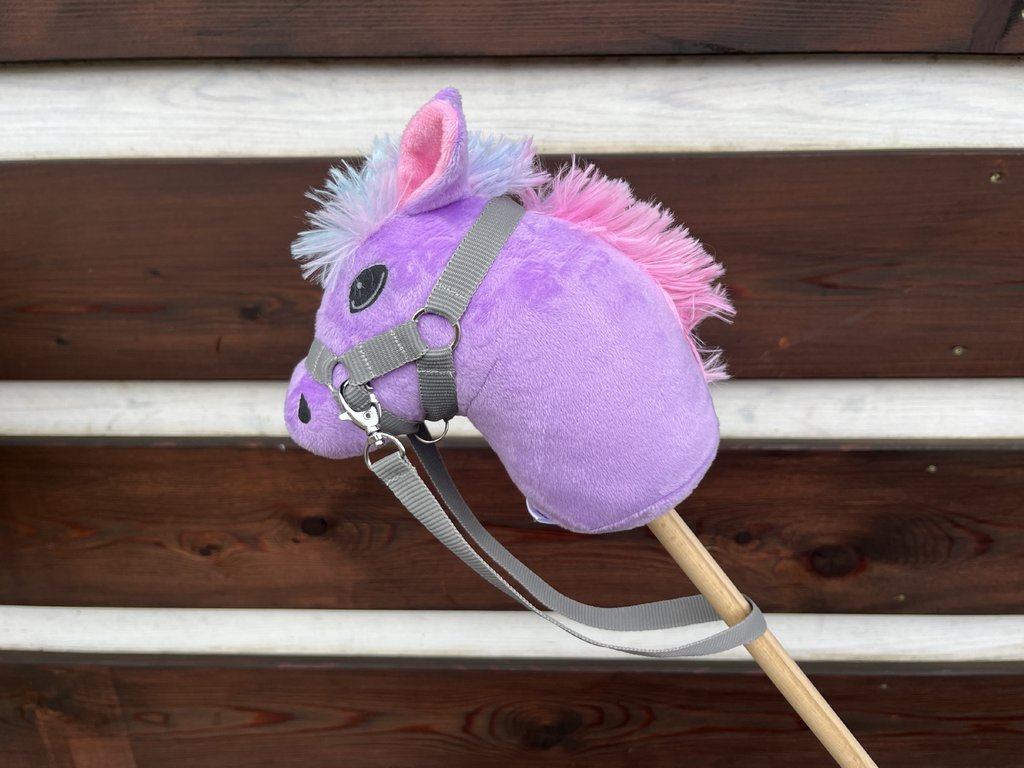 Hobby horse (MINI) - duhová hříva 3