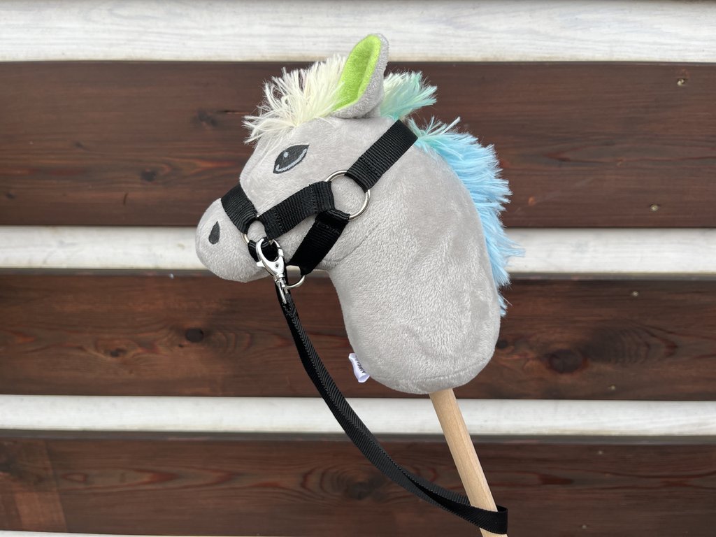 Hobby horse (MINI) - duhová hříva 4