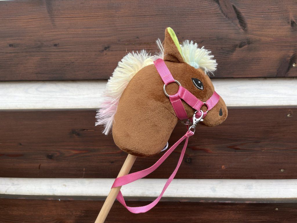 Hobby horse (MINI) - duhová hříva 5