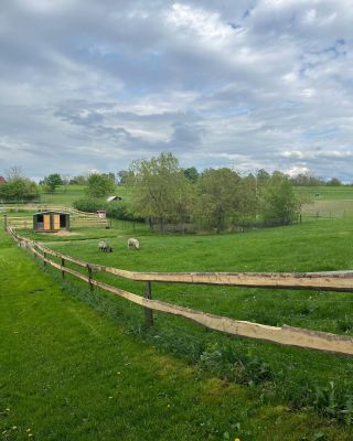 U nás na statku se jede na plné obrátky, aby se Vám tu v létě líbilo. Můžete se těšit na novou naučnou stezku pro děti,...